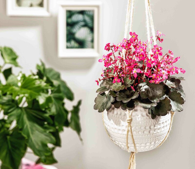 Making a macramé hanging planter