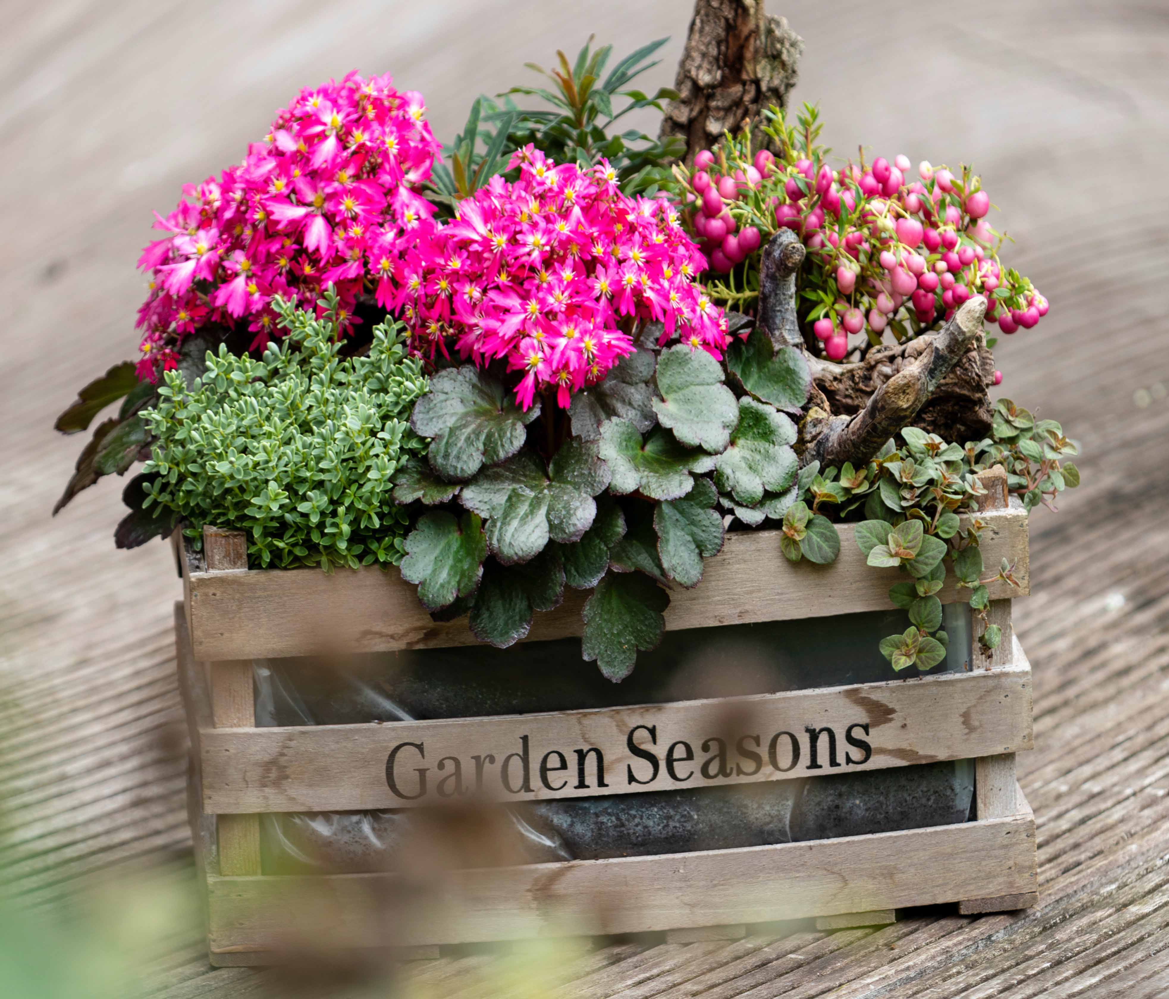 Tips & tricks for container plantings